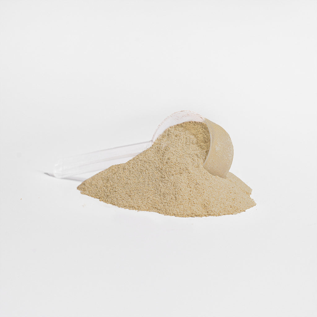 GLP-1 Lean Muscle Protein Isolate (Vanilla)